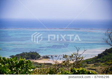 mozuku的水產養殖 87446296