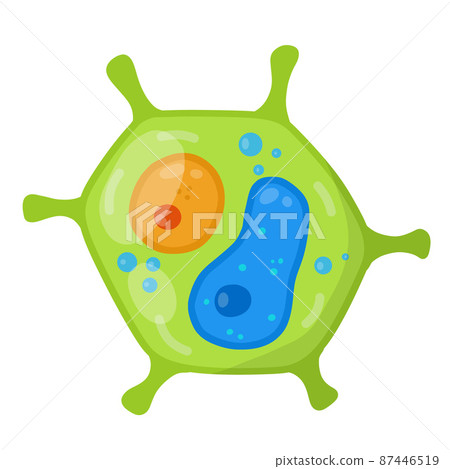 Green cell of the plant. Element of science and biology. 87446519