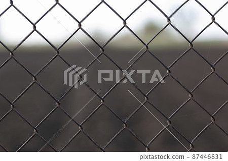 mesh fence on a rural farm mesh fence on a rural farm 87446831