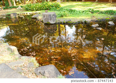 Color water puddle sunny cloud registered in March 2022) Color water puddle sunny cloud registered in March 2022) 87447143