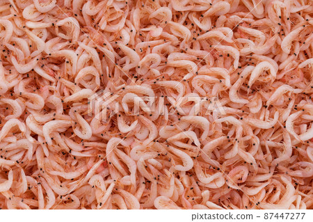 Shrimp Shrimp 87447277