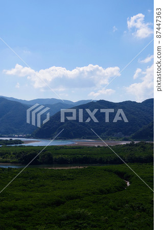 Amami Oshima Mangrove Forest Canoe Sanctuary 87447363