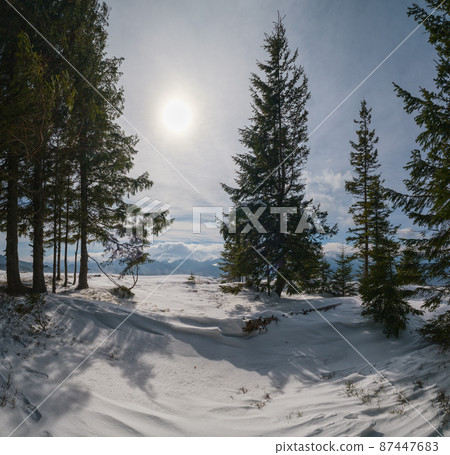 Winter remote alpine mountain village outskirts, countryside hills, groves and farmlands. 87447683