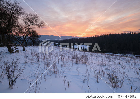 Small alpine village and winter snowy mountains in first sunrise sunlight around, Voronenko, Carpathian, Ukraine. 87447692