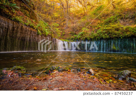 Autumn in Karuizawa, one of Japan's leading resort areas, Shiraito Falls in autumn colors Autumn in Karuizawa, one of Japan's leading resort areas, Shiraito Falls in autumn colors 87450237