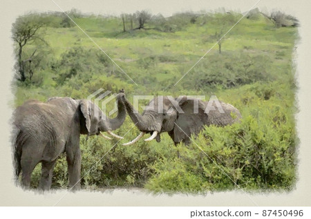 Elephant illustration style image 87450496
