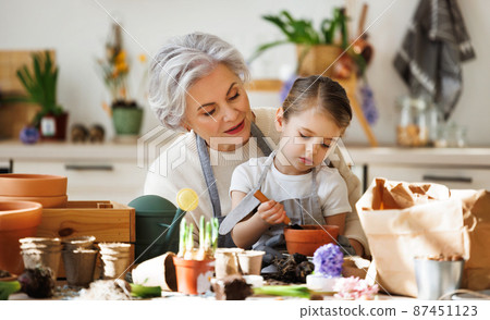 Grandmother and girl replanting plants at home Grandmother and girl replanting plants at home 87451123