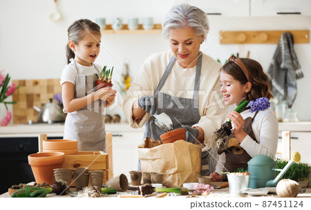 Granny and girls transplanting flowers at home 87451124