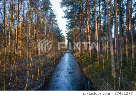 River flowing through forests and groves in golden time River flowing through forests and groves in golden time 87451277