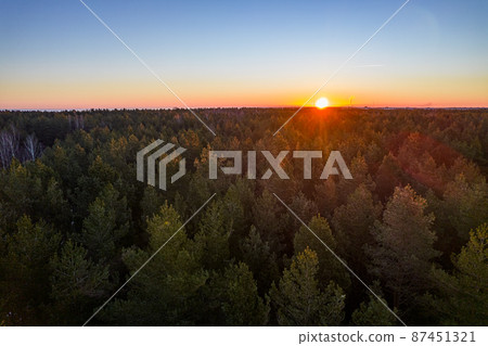 Drone photo of forests and groves in golden time 87451321
