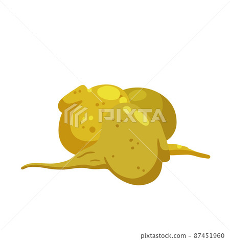 Maca or Peruvian ginseng. Yellow vegetable. Turnip root. Flat cartoon of Harvesting. Maca or Peruvian ginseng. Yellow vegetable. Turnip root. Flat cartoon of Harvesting. 87451960