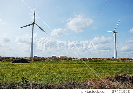 Green barley fields and wind turbines Green barley fields and wind turbines 87451968