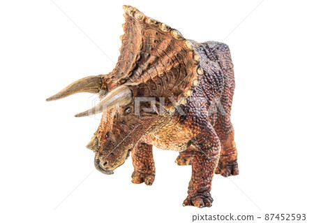 Triceratops  , dinosaur on white  background . 87452593