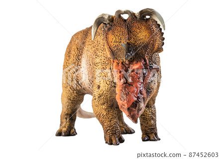 Pachyrhinosaurus  , dinosaur on white background . 87452603