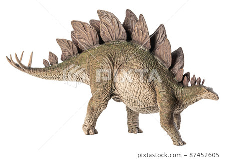 Stegosaurus Dinosaur on white background 87452605
