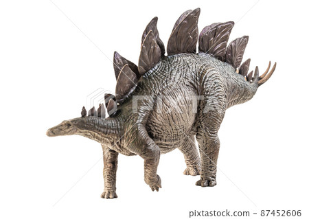 Stegosaurus Dinosaur on white background 87452606