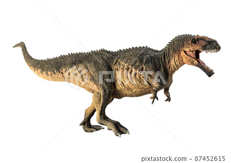 Giganotosaurus   , dinosaur on white background . 87452615