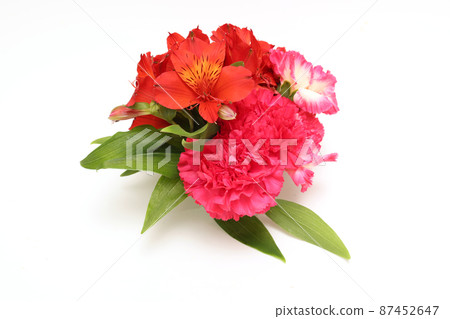 康乃馨和六出花束 康乃馨和六出花束 87452647