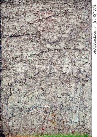 古樸的石牆 87454371