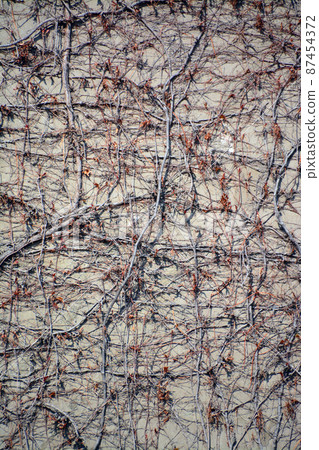 古樸的石牆 87454372