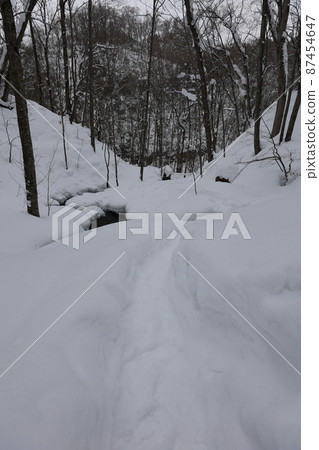 Road leading to Kumoi no Taki (Oirase Gorge) 87454647