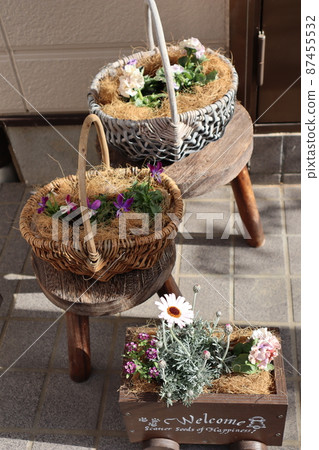 入口前群植春花 入口前群植春花 87455532