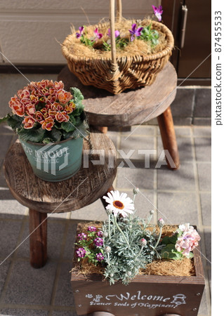 門前春花群植 門前春花群植 87455533