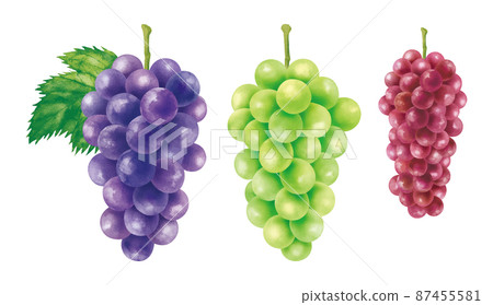 Grape grape Grape grape 87455581