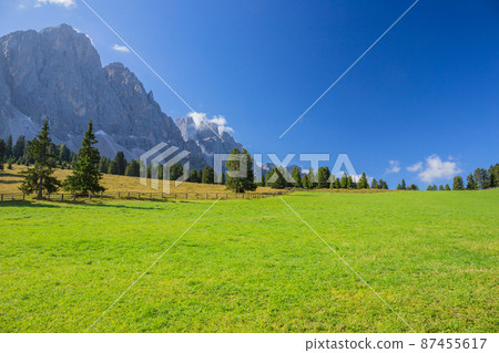 意大利北部多洛米蒂山谷山間小屋的牧場 87455617