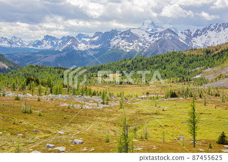 加拿大落基山脈阿西尼博因高線步道的風景 87455625