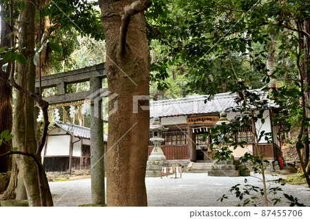 天月神社 [奈良縣橿原市南浦町] 87455706