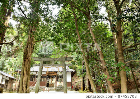 Amanokaguyama Shrine [Minamiura-cho, Kashihara City, Nara Prefecture] 87455708