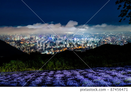 Kaido Sapporo City Horomi Pass Observation Parking Lot-Night view of Sapporo city and lavender field- 87456471
