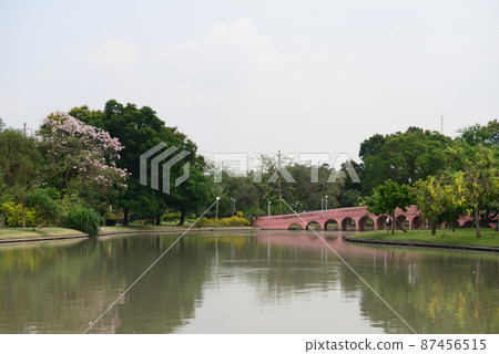 Brown fish viewing bridge at Chatuchak Park is a public park Brown fish viewing bridge at Chatuchak Park is a public park 87456515