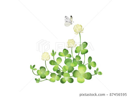 Clover stock butterfly Clover stock butterfly 87456595