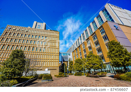 Teikyo University Itabashi Campus Teikyo University Itabashi Campus 87456607