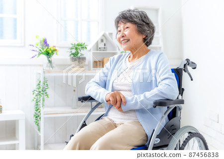 Senior female wheelchair house 87456838