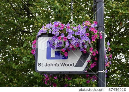 Petunia-colored summer London streets 87456928