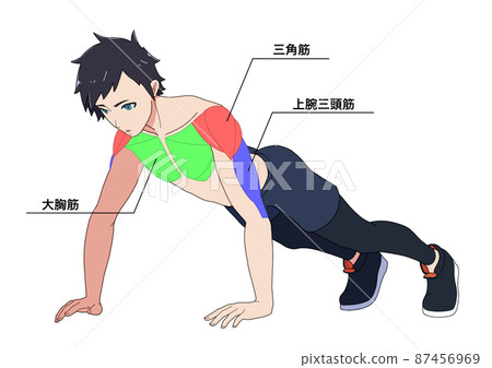 做俯臥撑的男性和肌肉的名稱（顏色編碼，日語） 87456969