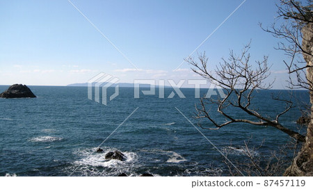 生長在懸崖上的樹木，日本和淡島的藍色海 87457119