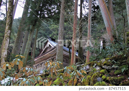 Ryokaizan Yokokuraji Temple Walk in Early Spring 104（岐阜縣伊備郡伊備川町橫倉） 87457515