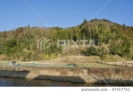 Partial logging of mountain trees (distant view) 87457742