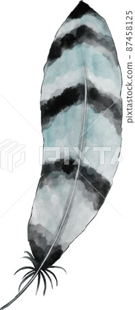 水彩羽毛插圖 87458125