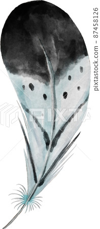 watercolor feather illustration 87458126