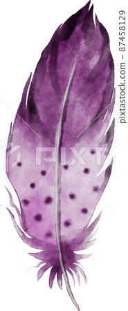 watercolor feather illustration 87458129