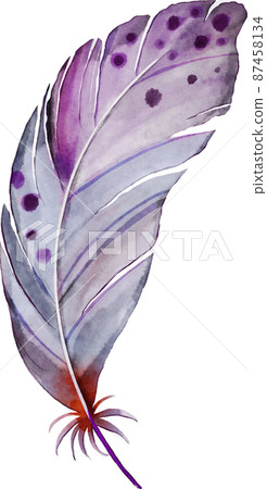 watercolor feather illustration 87458134