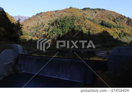 Autumn leaves along Ishikawa Prefectural Road 33 Hakusan Park Line (Hakusan City, Ishikawa Prefecture) 87458409