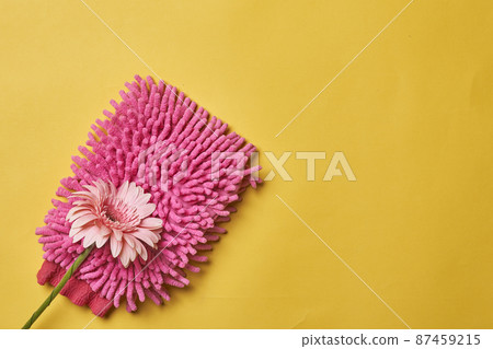 Cleaning service concept. Spring cleaning. Cleaning chemical bottles and supplies. House cleaning concept on colored background 87459215