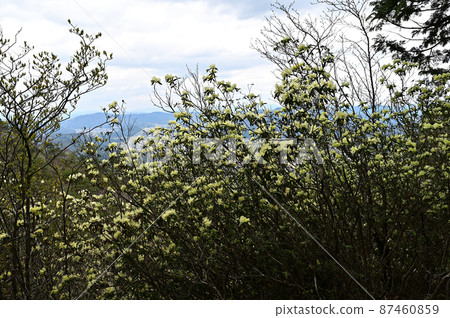 From the Mukaiyama mountain range From the Mukaiyama mountain range 87460859