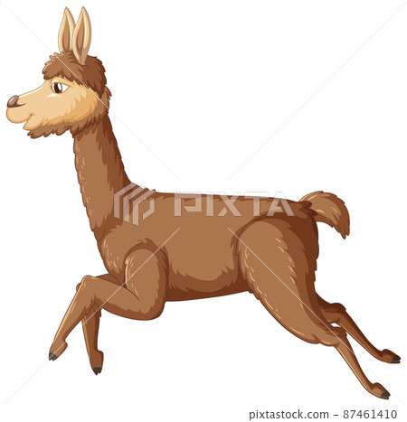 An alpaca on white background 87461410